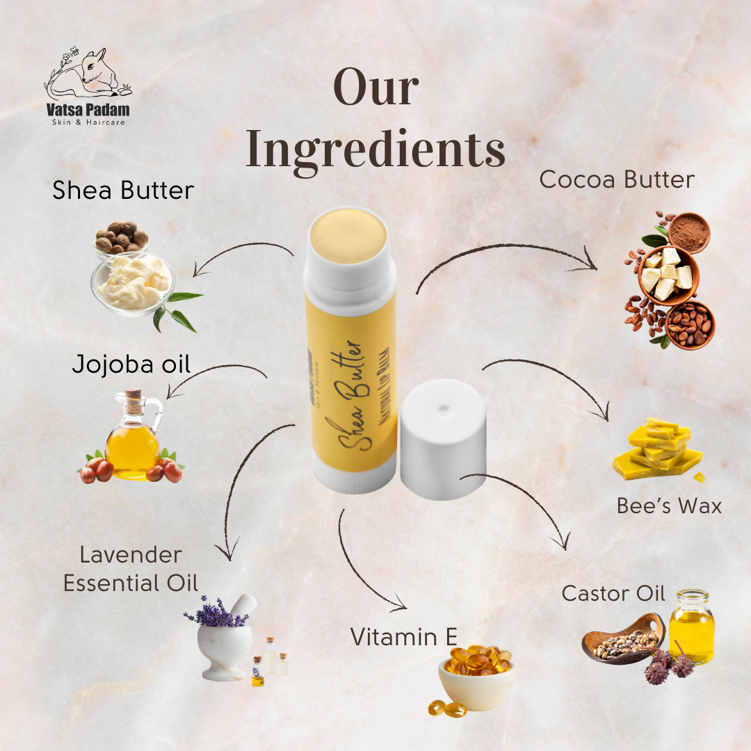 Shea Butter Natural Lip Balm