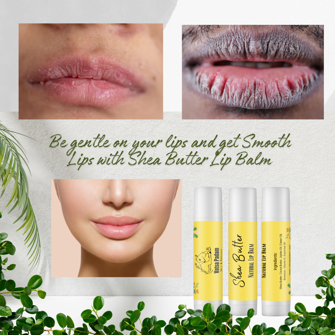 Shea Butter Natural Lip Balm
