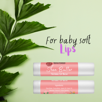 Blush Shea Butter Natural Lip Balm