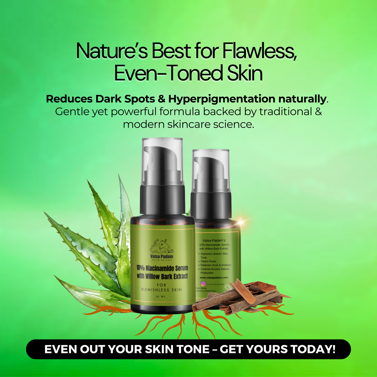 10% Niacinamide Serum with Willow Bark Extract