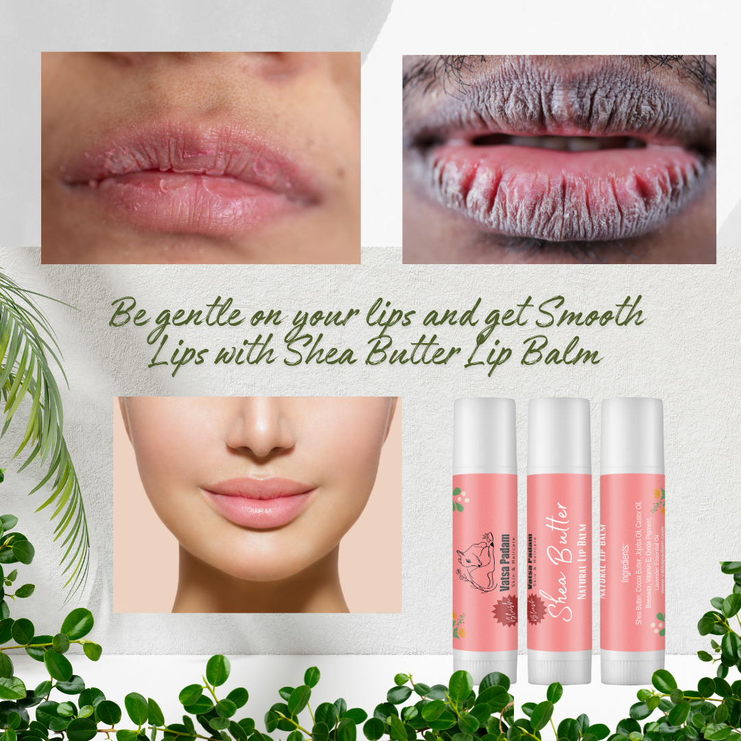 Blush Shea Butter Natural Lip Balm